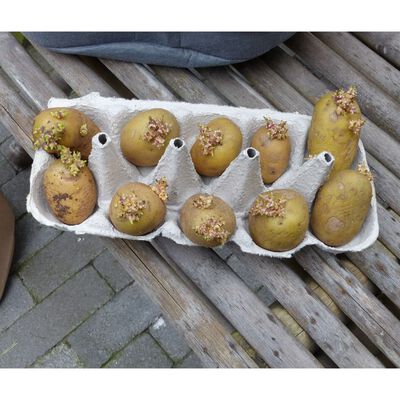 Nature Potatissäck för odling 37 L beige