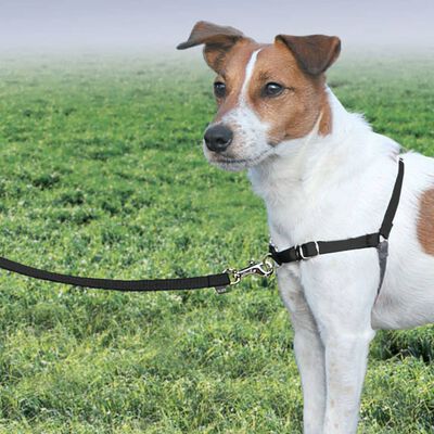 PetSafe Hundsele Easy Walk S svart