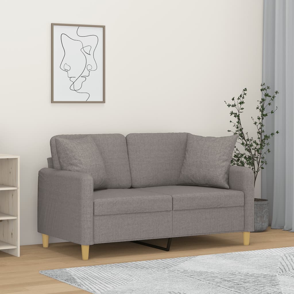 vidaXL 2-sits soffa med prydnadskuddar ljusgrå 120 cm tyg