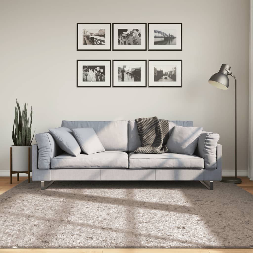 vidaXL Ryamatta PAMPLONA lång lugg modern beige 200x200 cm